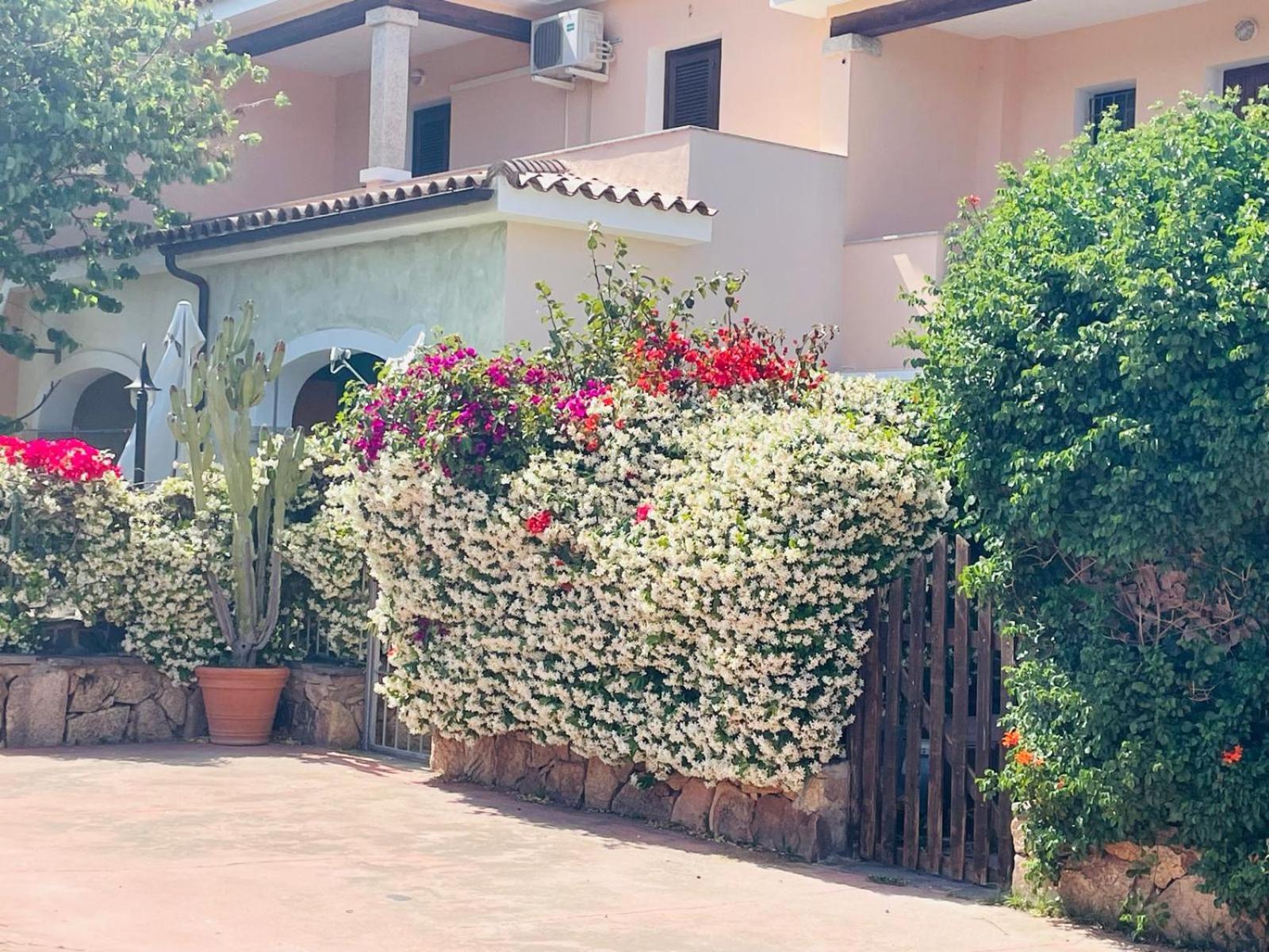 Appartamento Le Querce Vaccileddi Exterior photo